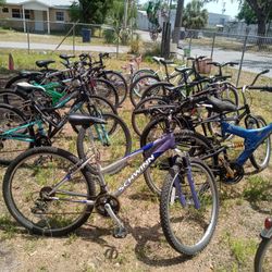 Papis Bikes 