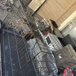 Big Dog Crate