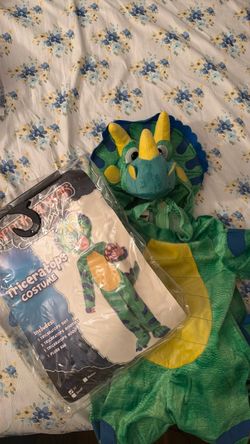 3T triceratops costume.