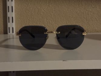 Balenciaga bb sunglasses