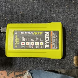 Ryobi 40v Charger 