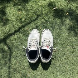 Grey Cement Jordan 3s