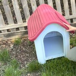 Dog House