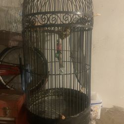 large Birdcage