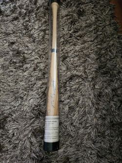 1989 Chicago cubs team N.L. east champions bat