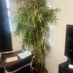 7ft Bamboo Tree 