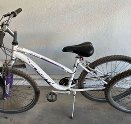 Sports bike