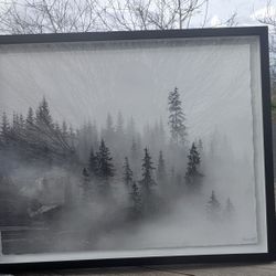 Framed Black & White Foggy Forest Print by Marmont (16x20")
