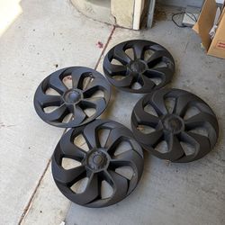 Rims Tesla model Y rims (plastic cover)