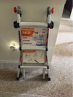 Aluminum ladder 14 foot  Little Giant