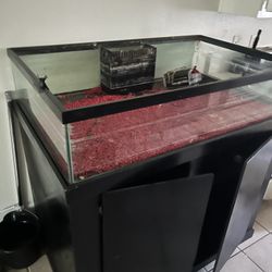 Fish Tank 