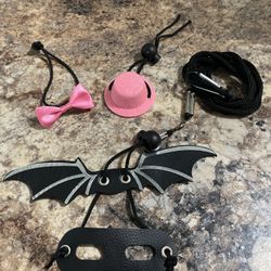 Bearded Dragon Leash Set