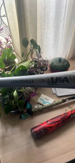 Baseball Bat