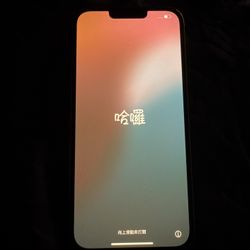 iPhone 13 Pro Max