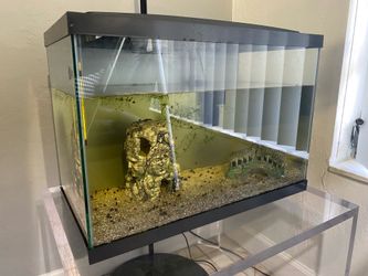 20 gl Fish Tank. Pecera de 20 galones