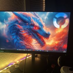 Lenovo Thinkvison Monitor 