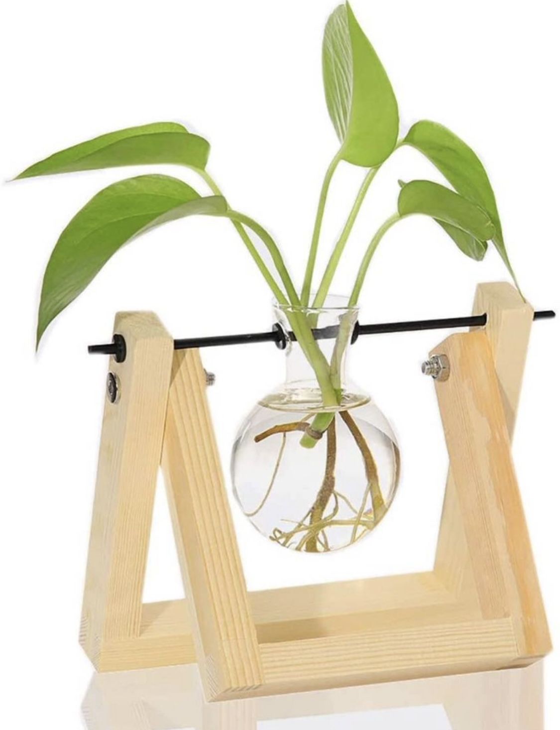 Desktop Glass Plants Terrariums Bulb Vase with Retro Solid Wooden Stand and Metal Swivel Holder for Hydroponics Plants Home Garden  New  Pick up at Re