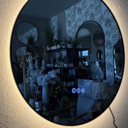 24" led mirror