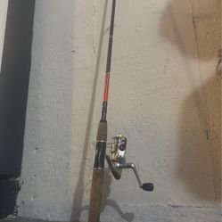 Shakespeare Spinning Combo