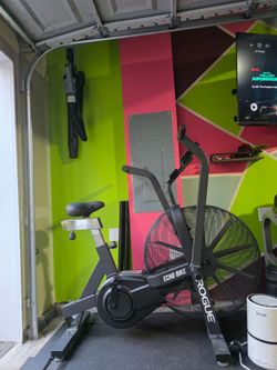Rogue echo bike