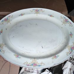 Eggshell Nautilus Dinner Plate