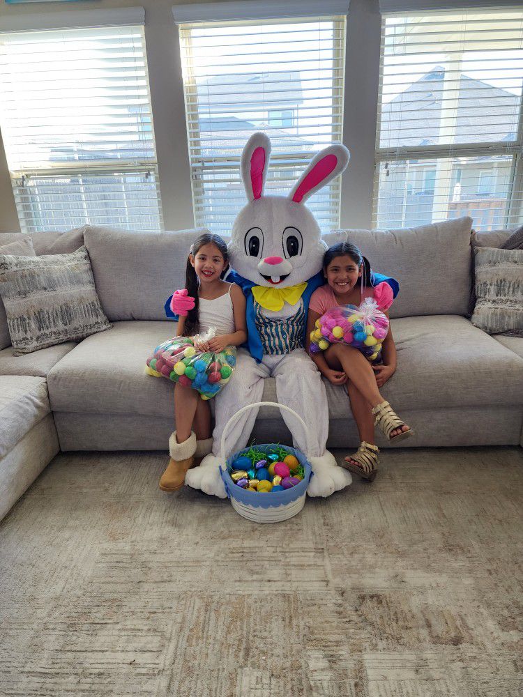 Easter Bunny Photos And Piñatas 🪅  Delivery 