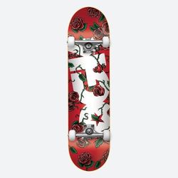 New DGK SKATEBOARD