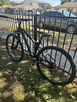 Rock Dove mountain bike