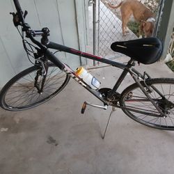 Giant Escape 3- 7 Speed