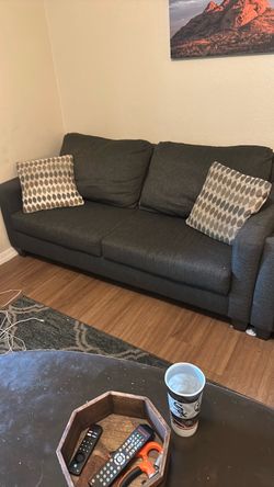 Dark Gray Fabric Sofas with Accent Pillows