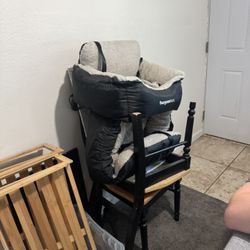 Dog Car Seat