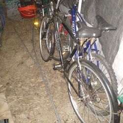 Schwinn Wayfarer Large Road Bike