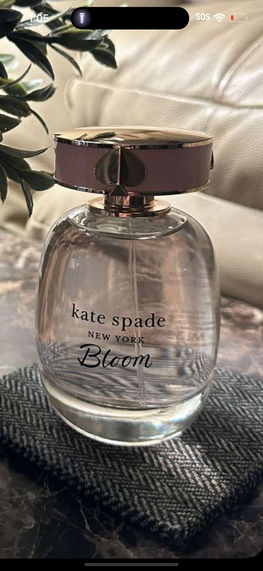 Brand New Kate Spade