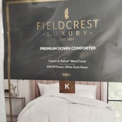 Down Comforter 