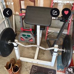 Preacher curl bench (no weights)