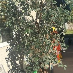 Artificial Tree