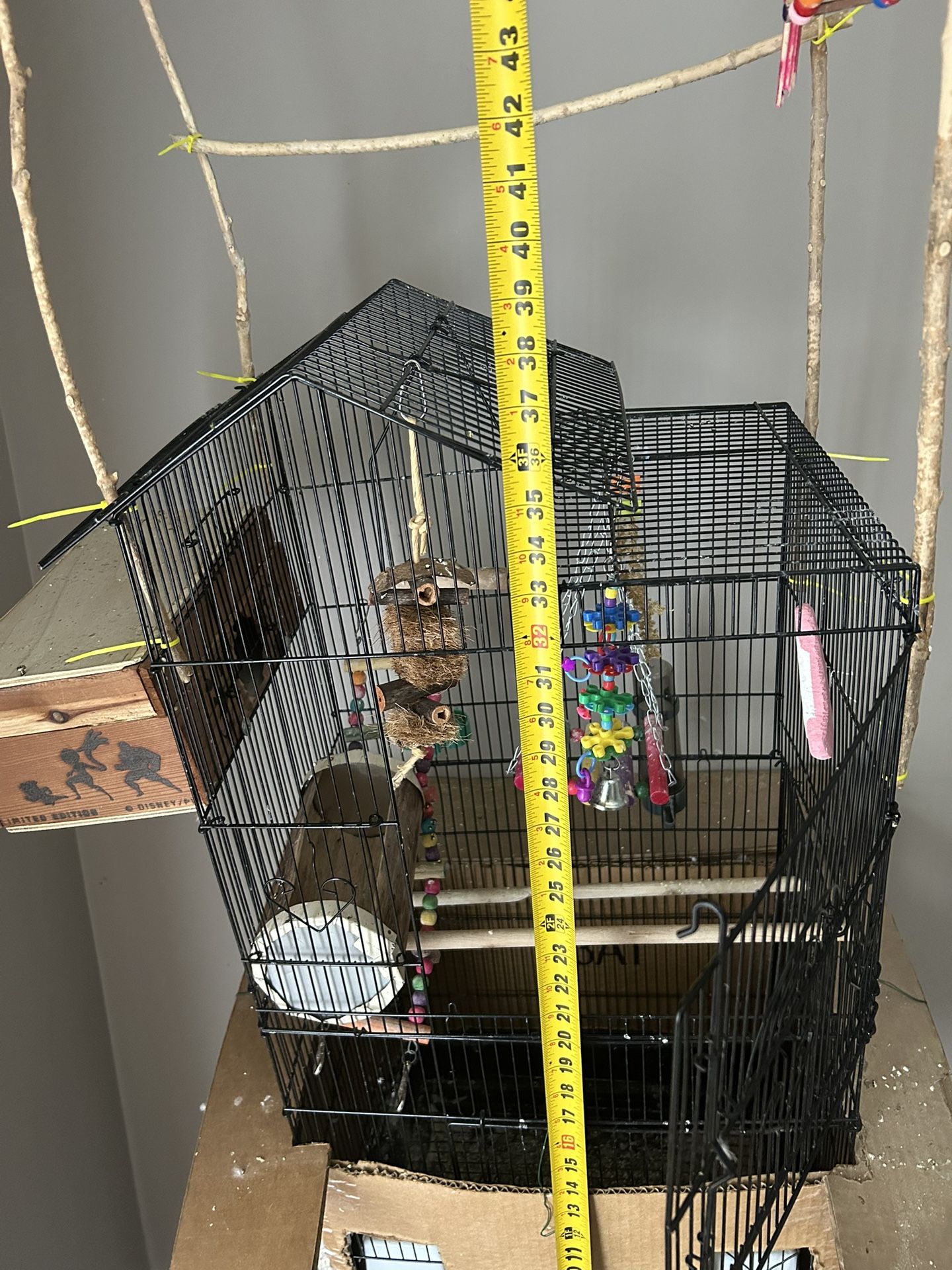 Free Bird Cage