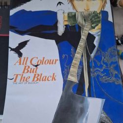 Bleach Art Book