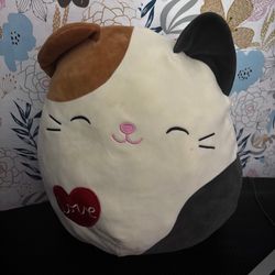 Medium sized Squishmallow calico cat