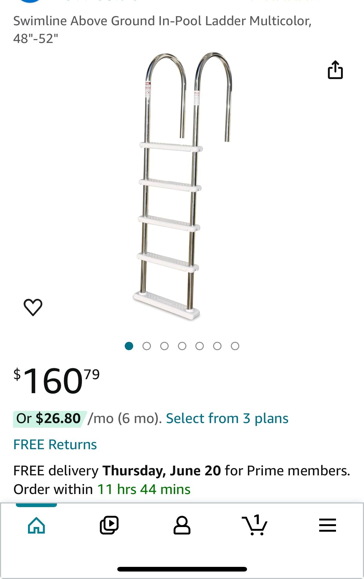 Stand Up Pool Ladder