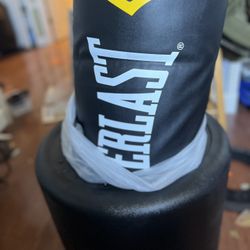Everlast Punching Bag