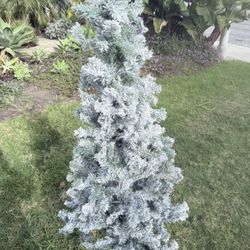 Artificial Christmas trees!