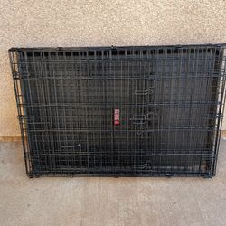 Large Kong Dog Crate