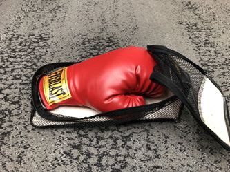 Everlast Boxing Glove