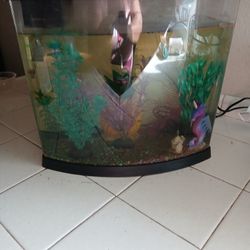 Fish Tank With Decoration 