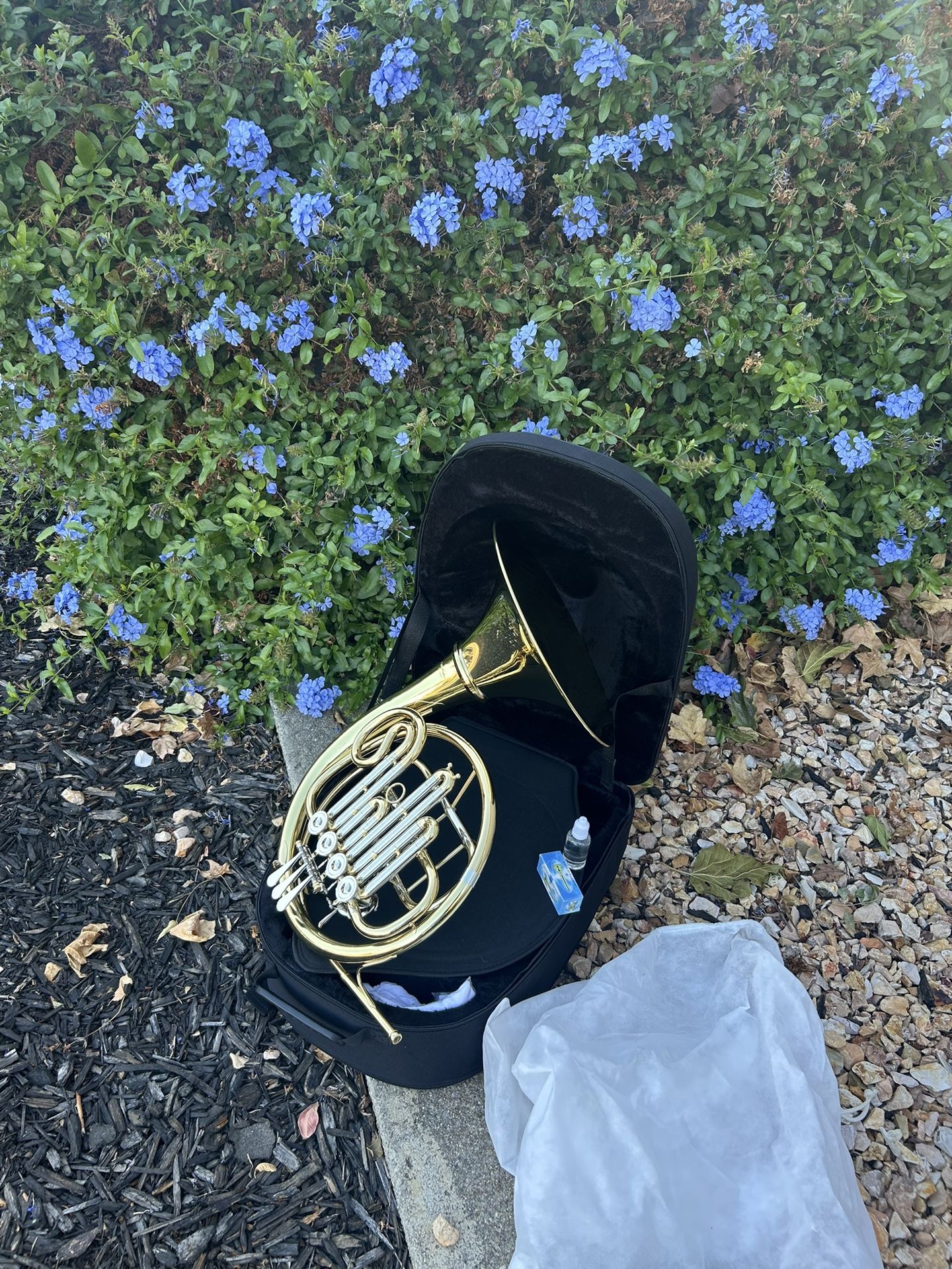 Gorgeous $450 • Single French Horn. New