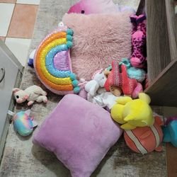 Stuffed Animals And Pillows