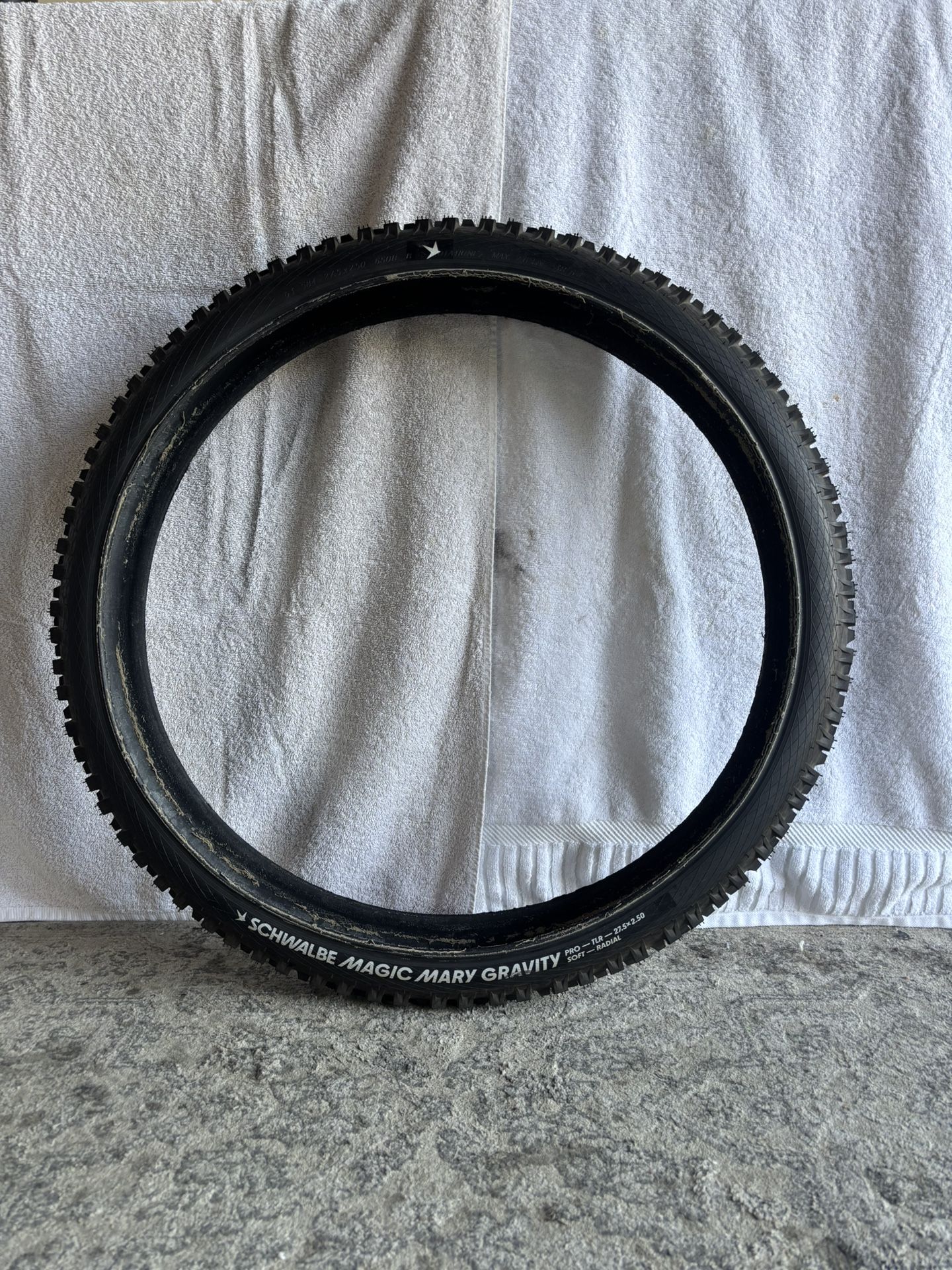 Magic Mary Radial Mountain Bike Tire 