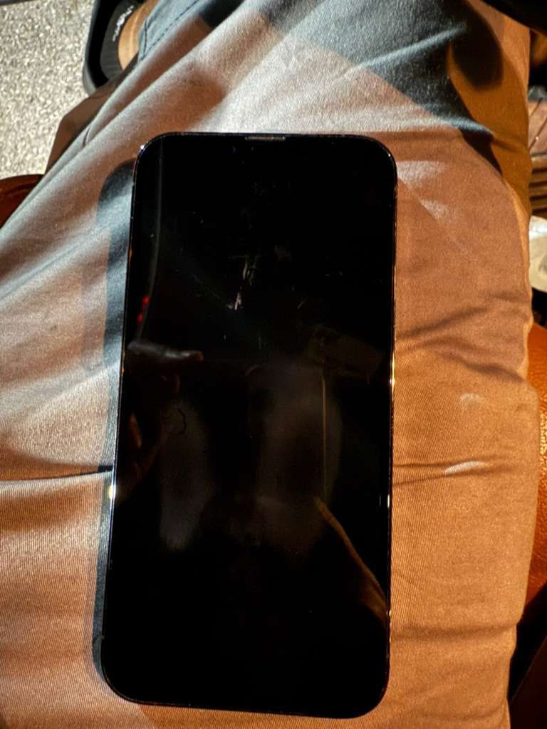 iPhone 13 Pro Max 256 380