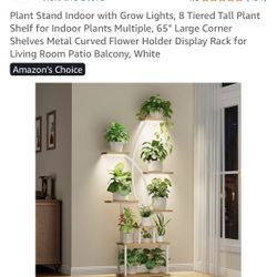 Plant Stand 